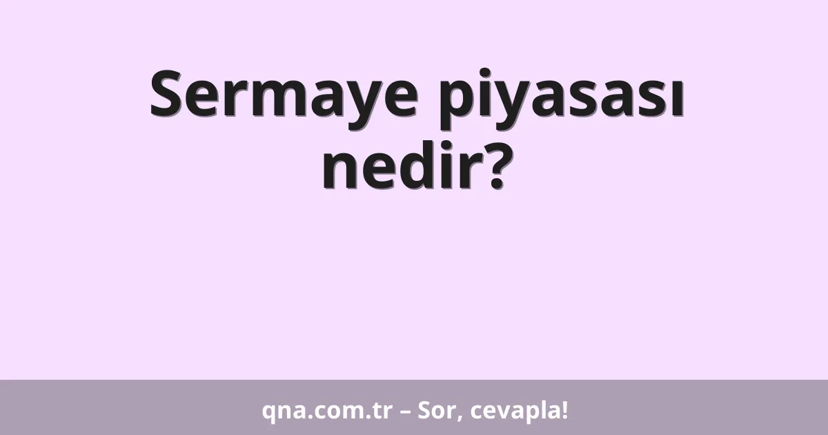 Sermaye piyasası nedir?