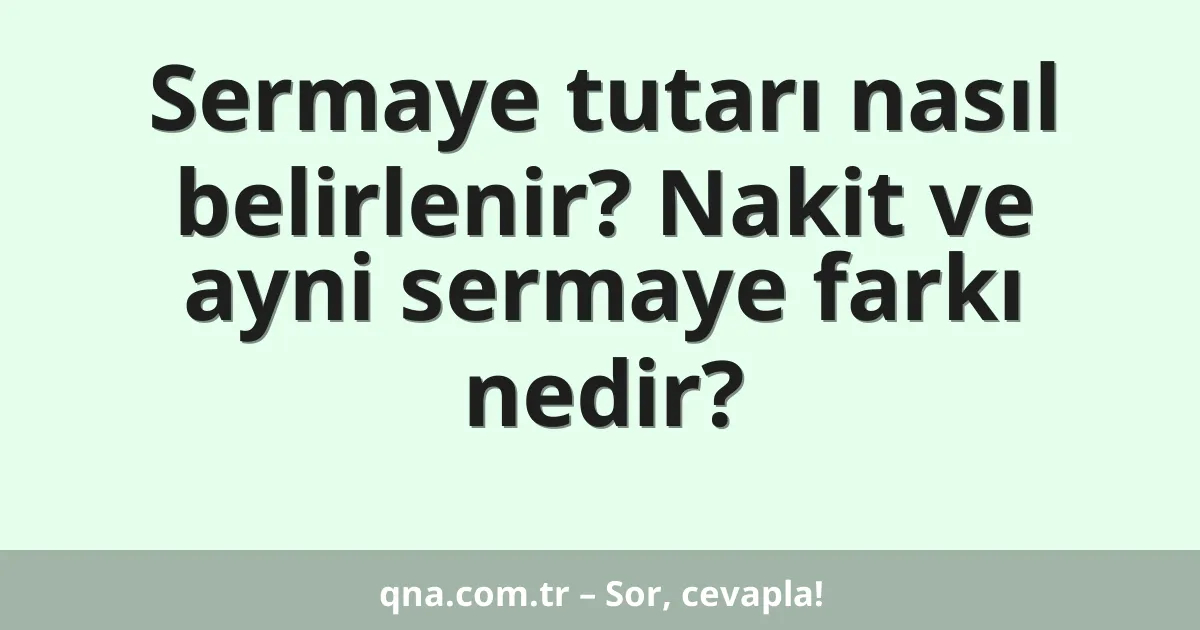 Sermaye tutarı nasıl belirlenir? Nakit ve ayni sermaye farkı nedir?