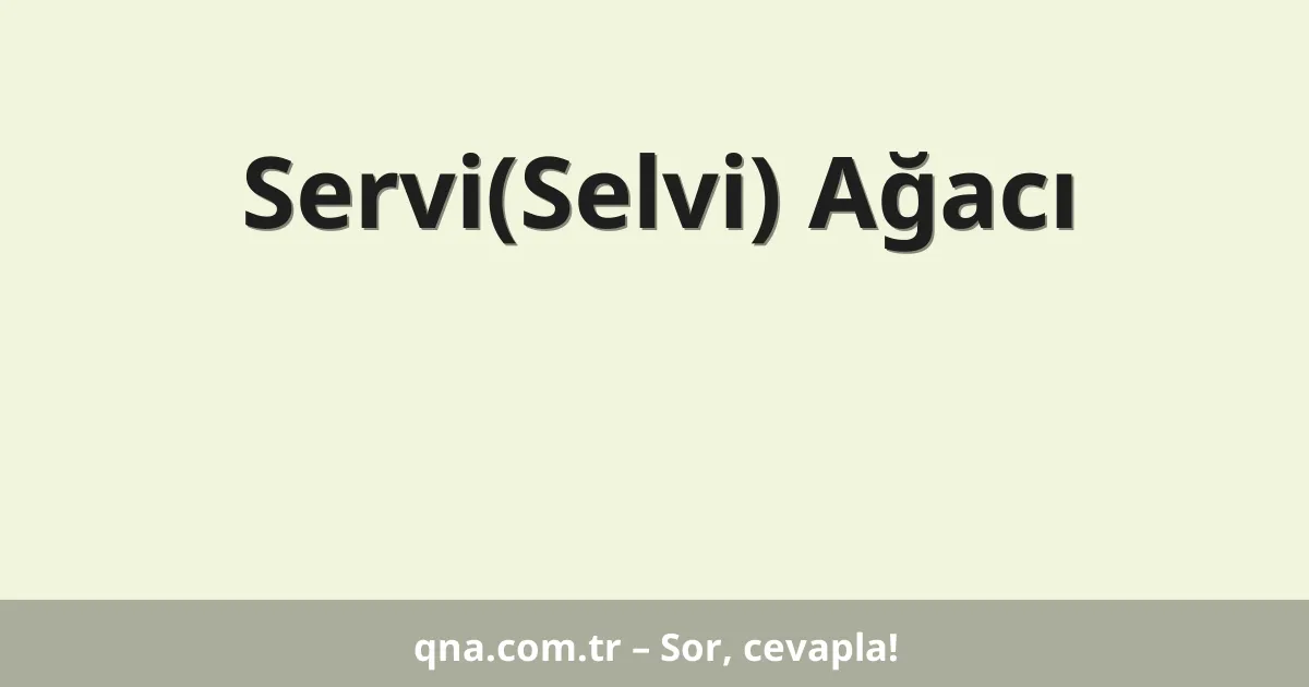 Servi(Selvi) Ağacı