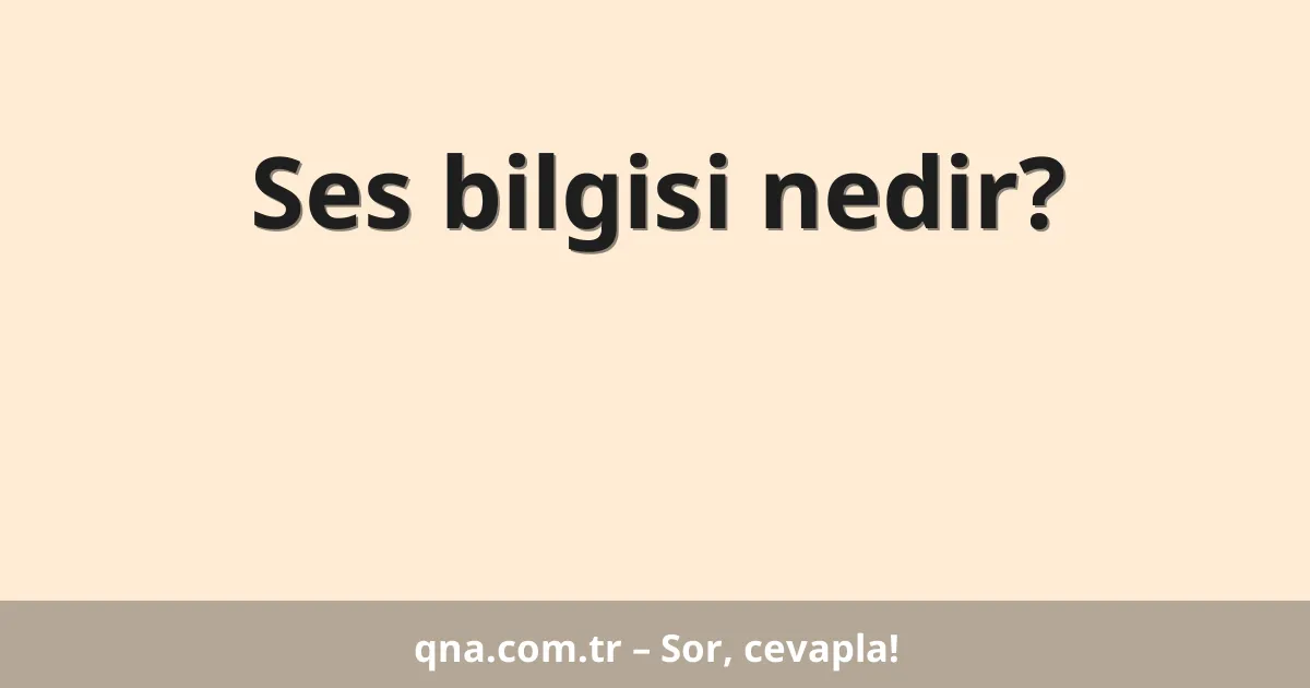 Ses bilgisi nedir?