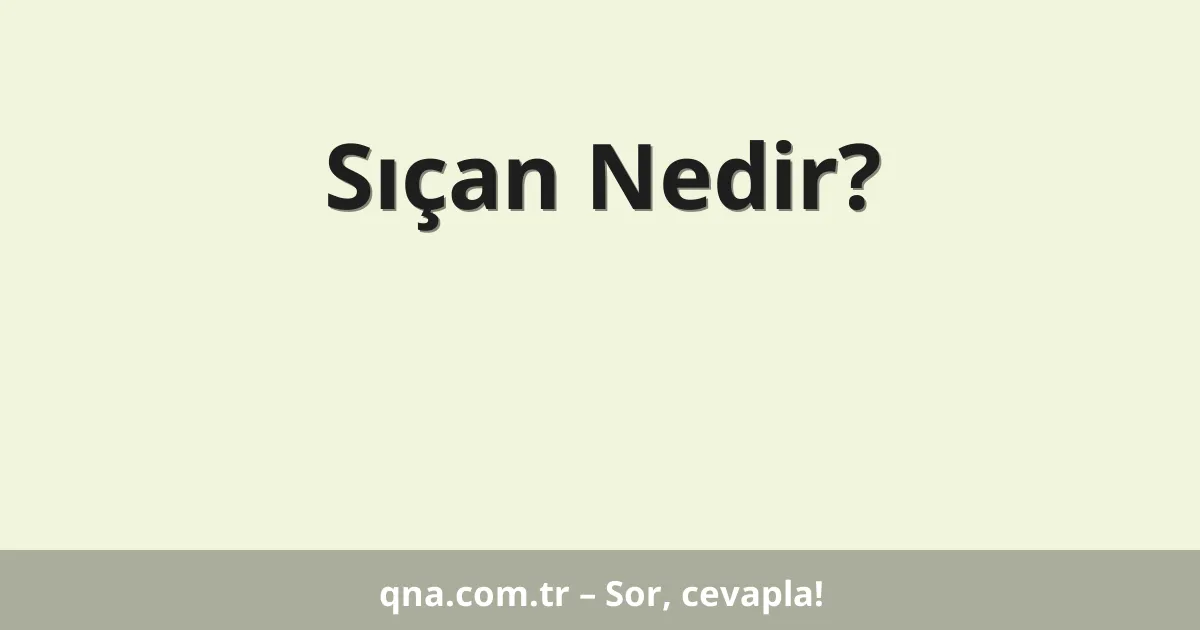 Sıçan Nedir?