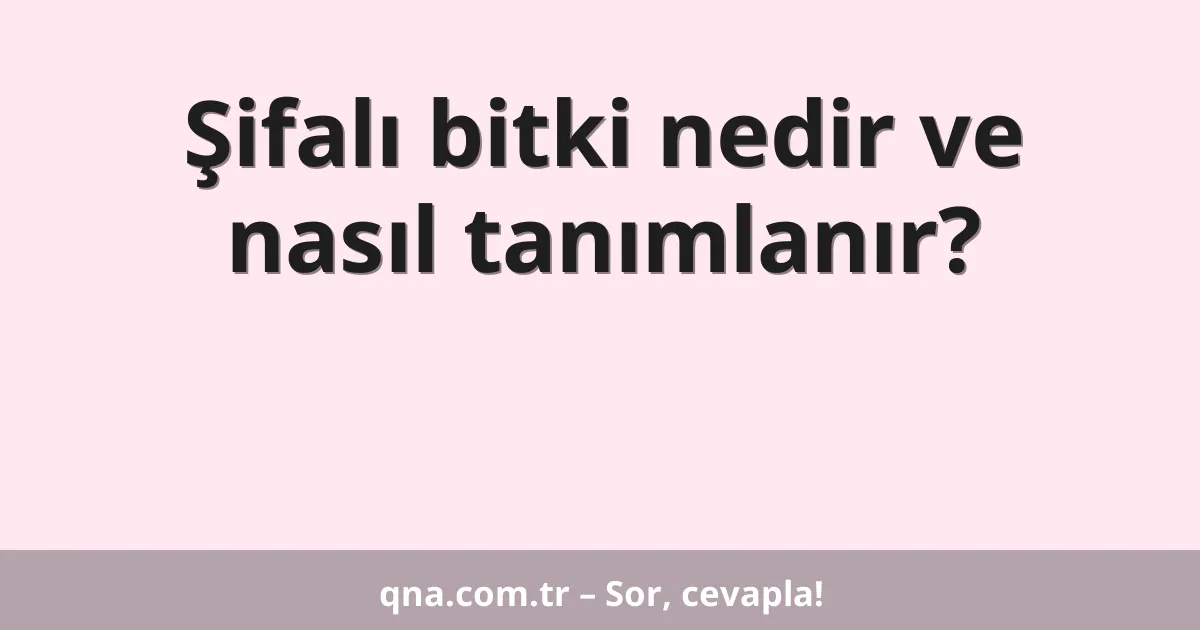 Şifalı bitki nedir ve nasıl tanımlanır?