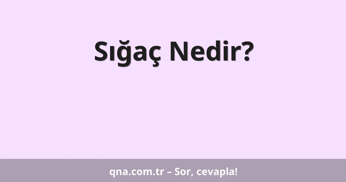 Sığaç Nedir?