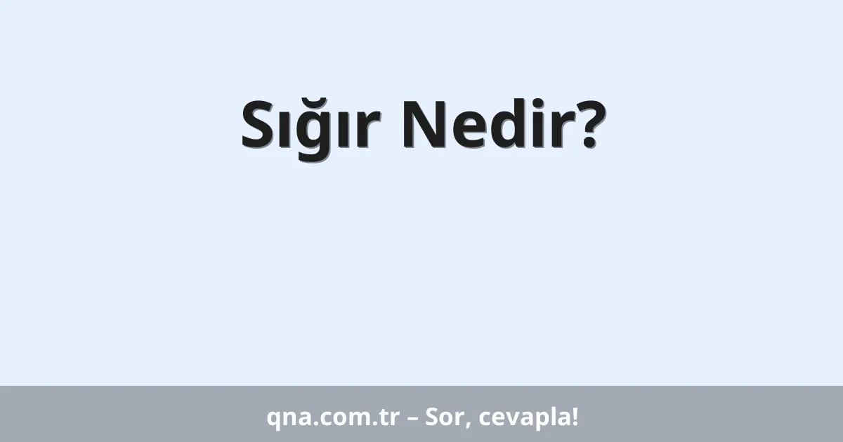 Sığır Nedir?