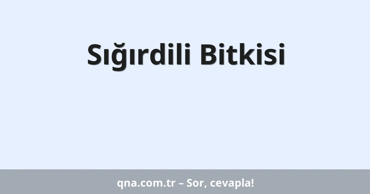 Sığırdili Bitkisi