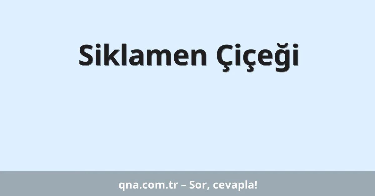 Siklamen Çiçeği