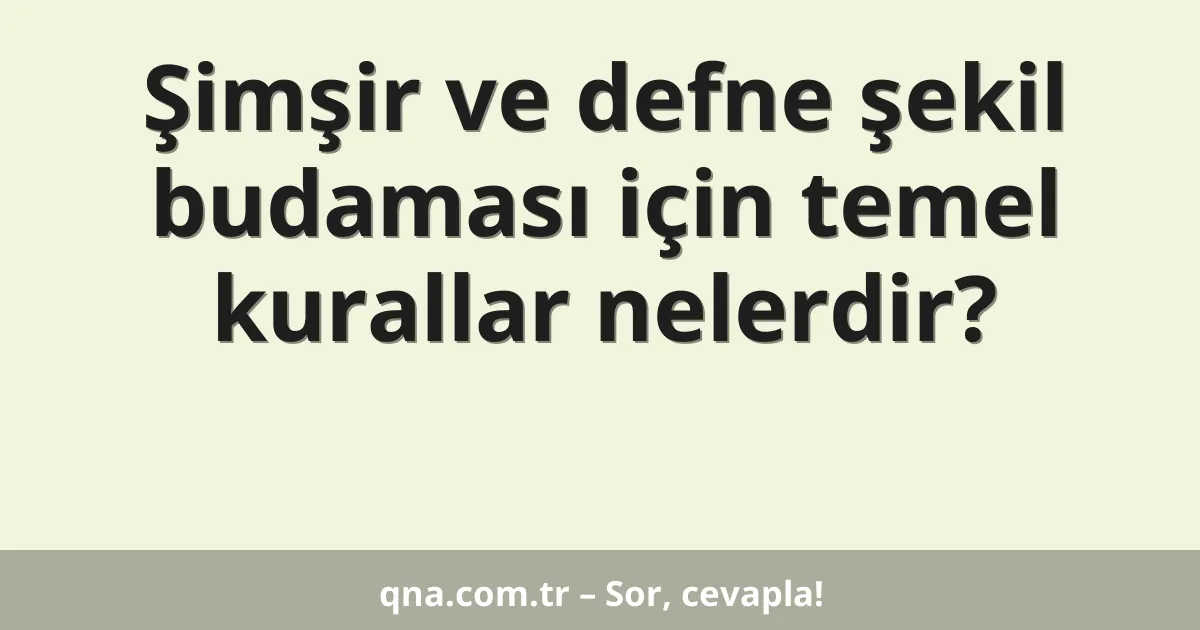 Şimşir ve defne şekil budaması için temel kurallar nelerdir?