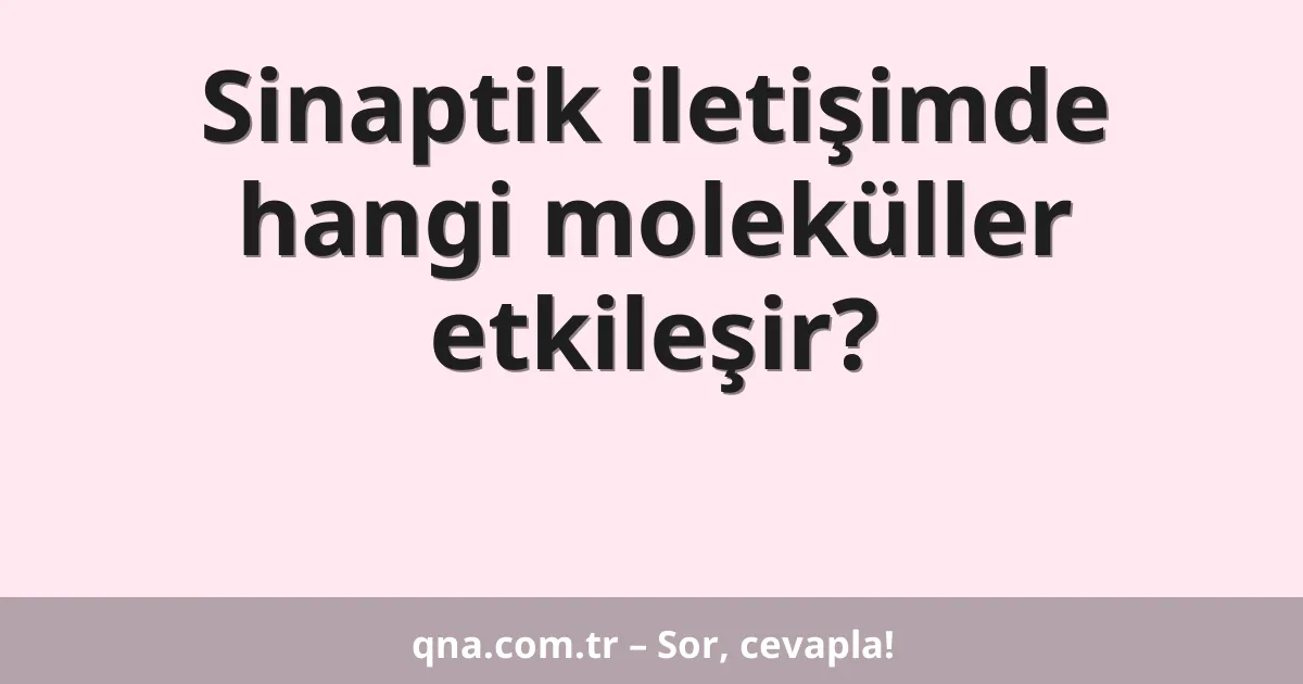 Sinaptik iletişimde hangi moleküller etkileşir?