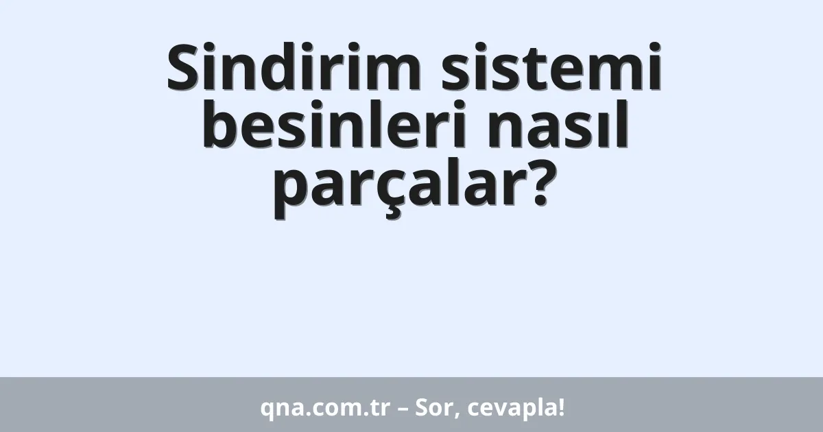 Sindirim sistemi besinleri nasıl parçalar?