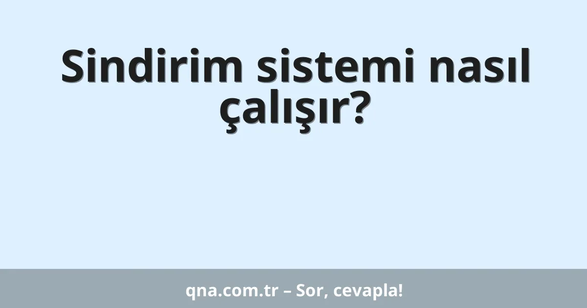 Sindirim sistemi nasıl çalışır?
