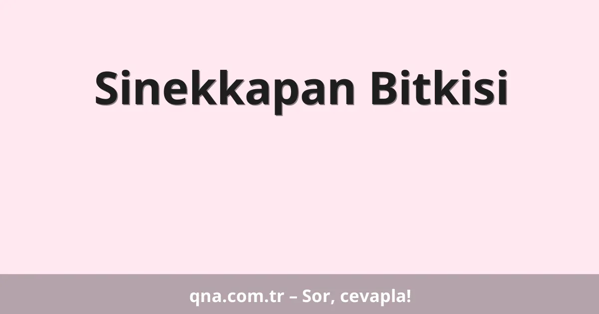 Sinekkapan Bitkisi