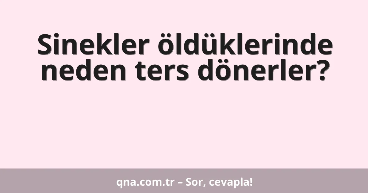 Sinekler öldüklerinde neden ters dönerler?