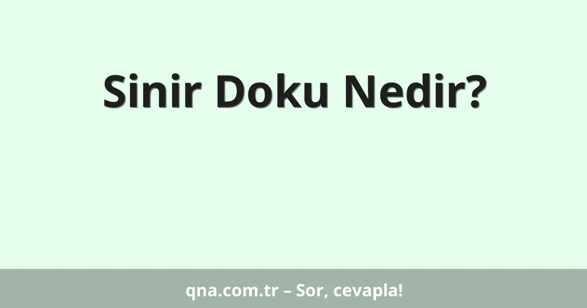 Sinir Doku Nedir?