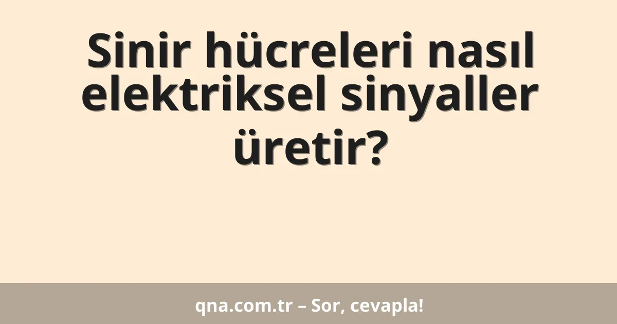 Sinir hücreleri nasıl elektriksel sinyaller üretir?