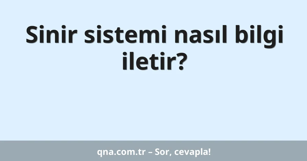 Sinir sistemi nasıl bilgi iletir?