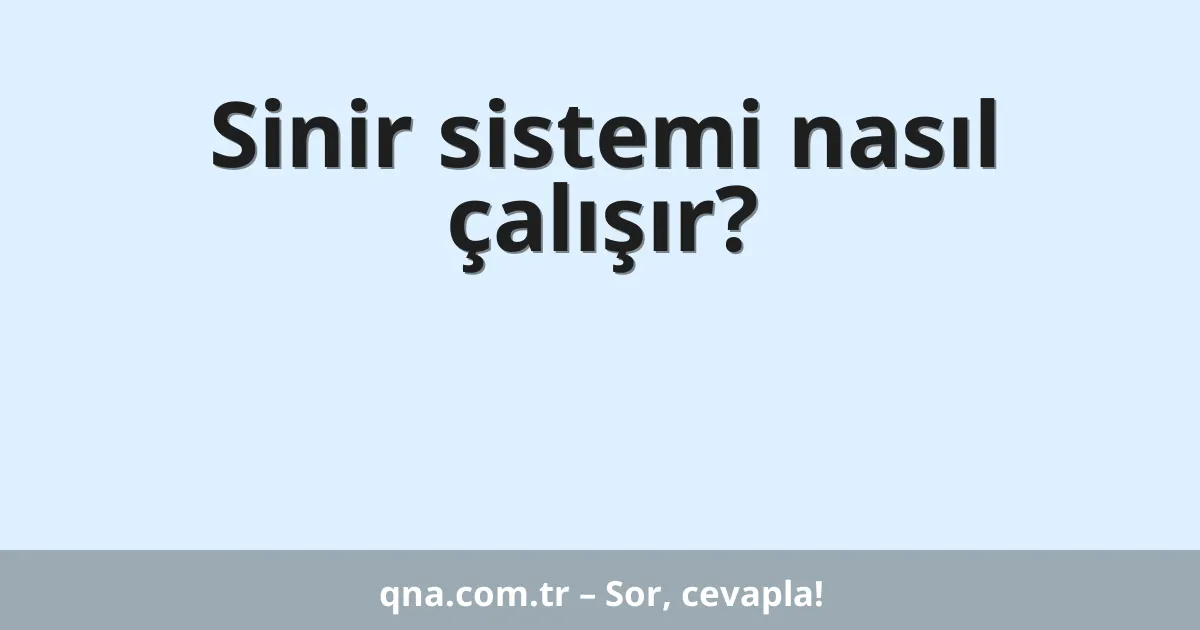Sinir sistemi nasıl çalışır?