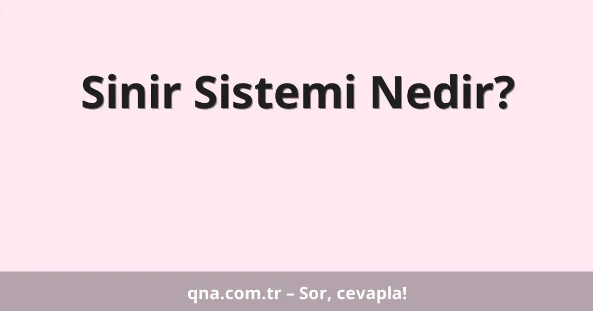 Sinir Sistemi Nedir?