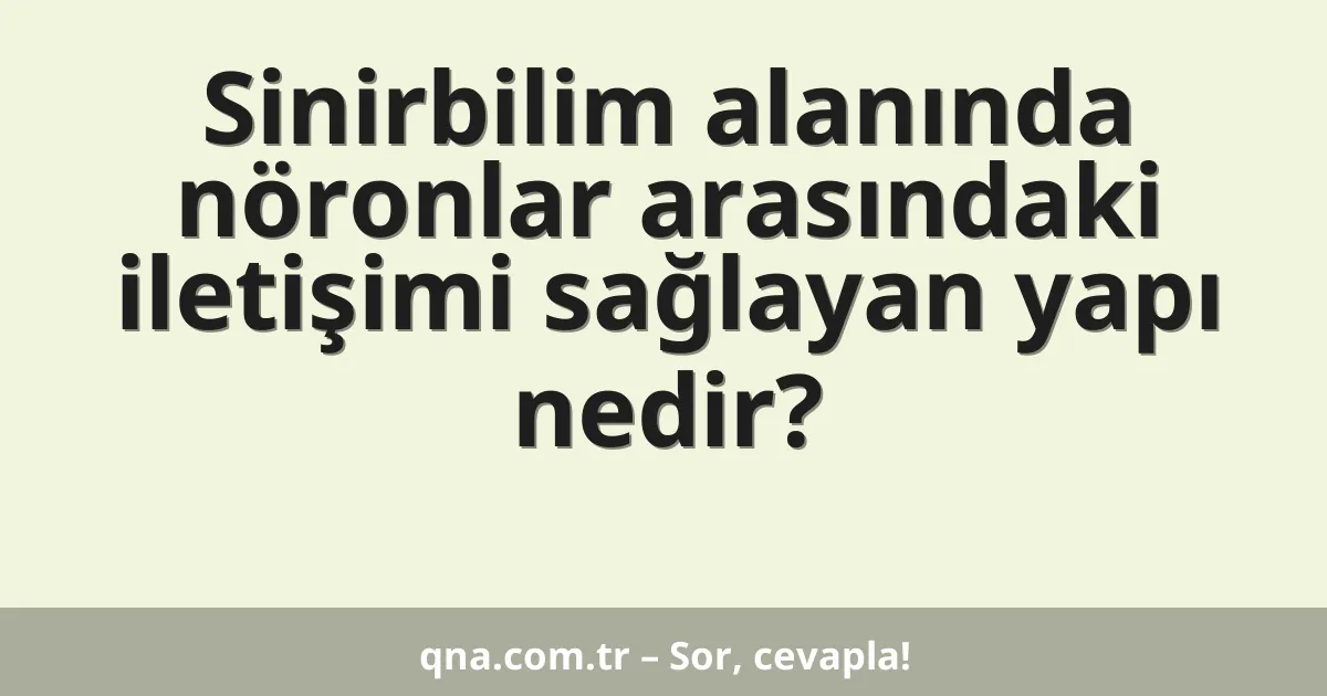 Sinirbilim alanında nöronlar arasındaki iletişimi sağlayan yapı nedir?