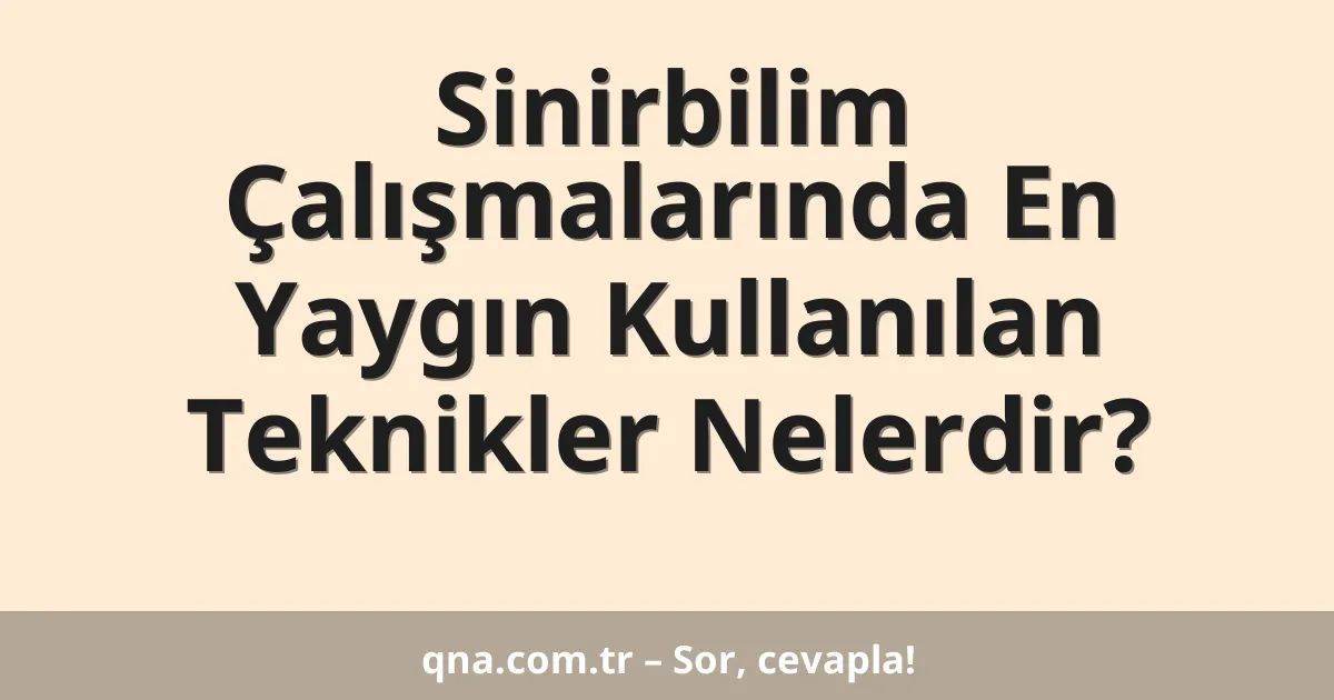 Sinirbilim Çalışmalarında En Yaygın Kullanılan Teknikler Nelerdir?