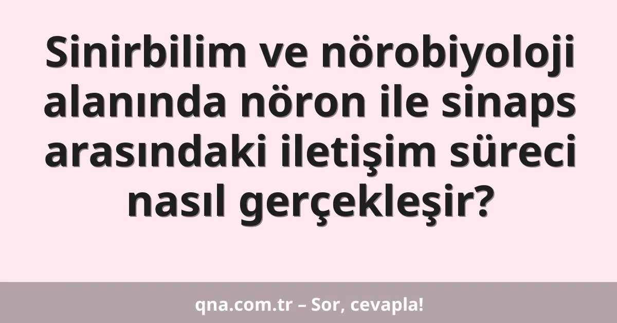 Sinirbilim ve nörobiyoloji alanında nöron ile sinaps arasındaki iletişim süreci nasıl gerçekleşir?