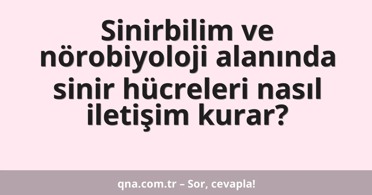 Sinirbilim ve nörobiyoloji alanında sinir hücreleri nasıl iletişim kurar?