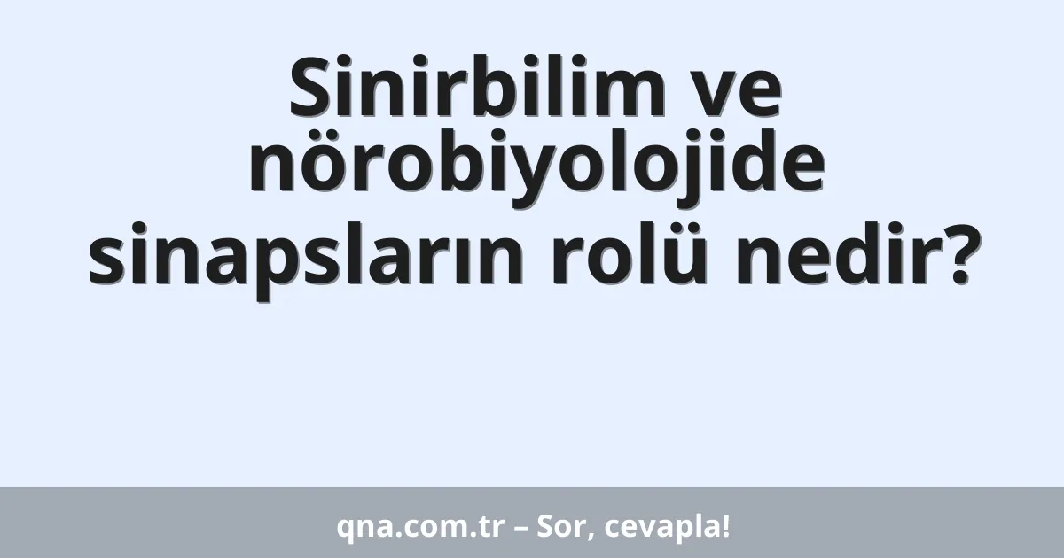 Sinirbilim ve nörobiyolojide sinapsların rolü nedir?