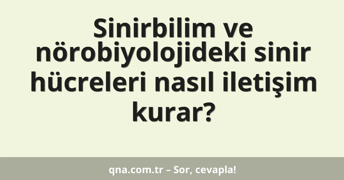 Sinirbilim ve nörobiyolojideki sinir hücreleri nasıl iletişim kurar?