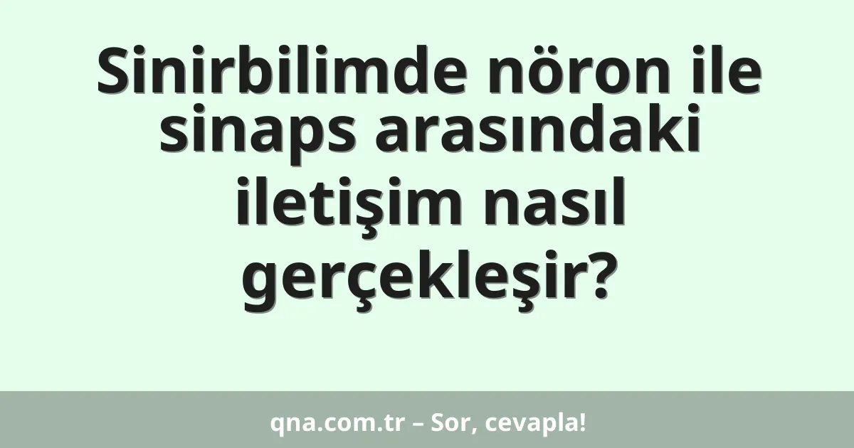 Sinirbilimde nöron ile sinaps arasındaki iletişim nasıl gerçekleşir?