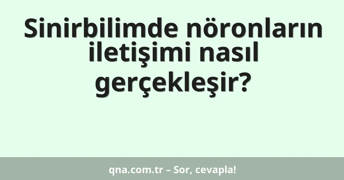 Sinirbilimde nöronların iletişimi nasıl gerçekleşir?
