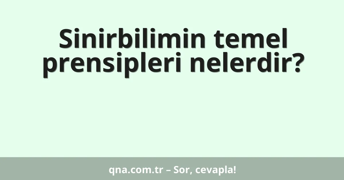 Sinirbilimin temel prensipleri nelerdir?