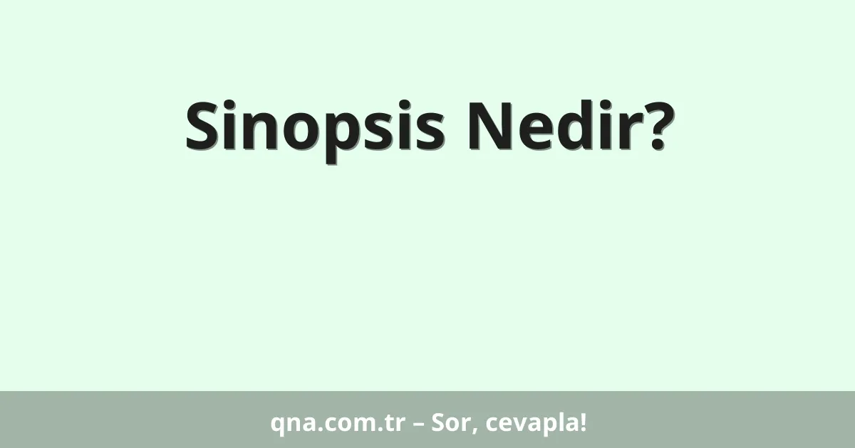Sinopsis Nedir?