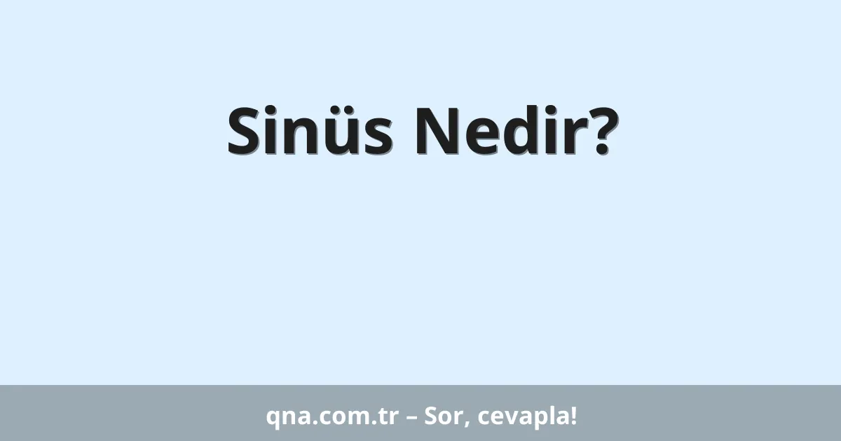 Sinüs Nedir?