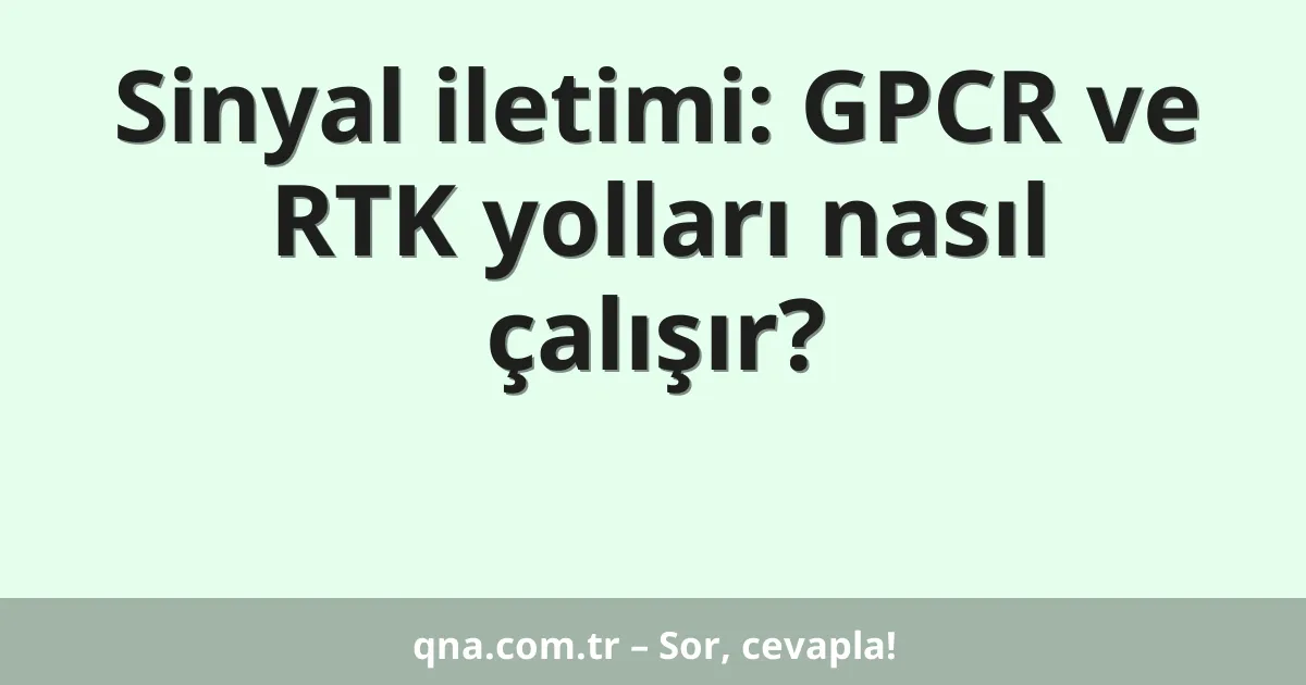 Sinyal iletimi: GPCR ve RTK yolları nasıl çalışır?