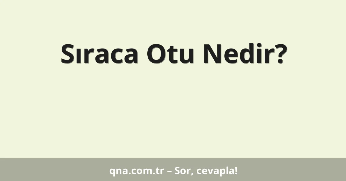 Sıraca Otu Nedir?