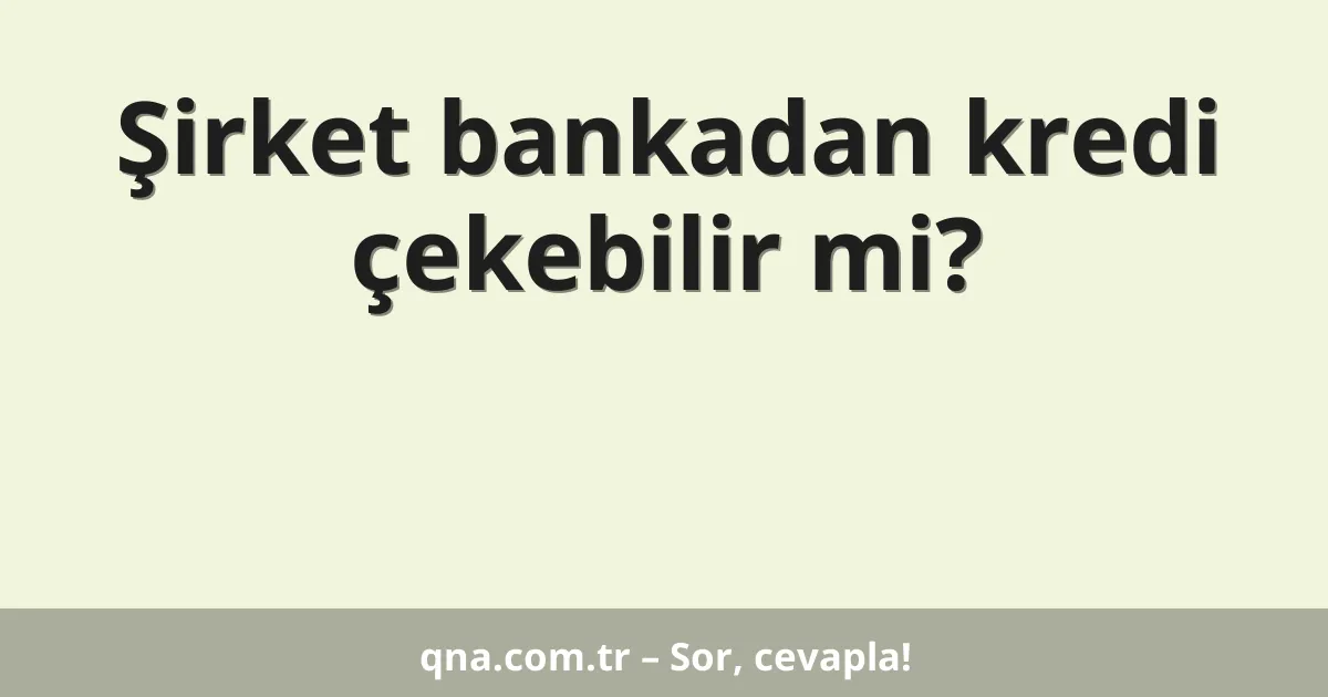 Şirket bankadan kredi çekebilir mi?