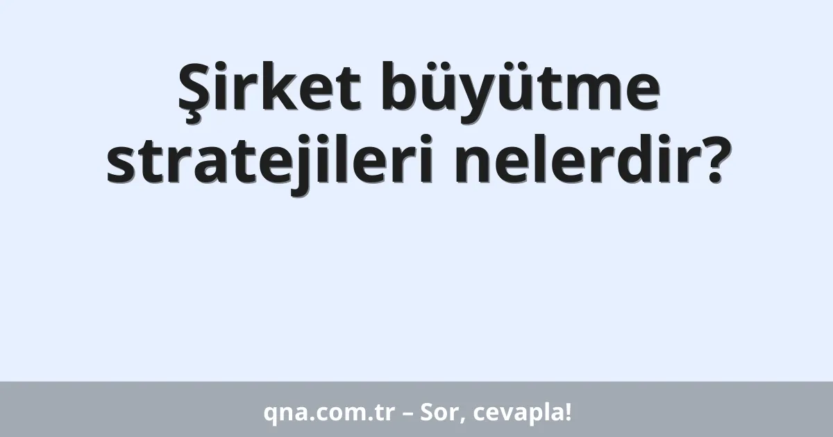 Şirket büyütme stratejileri nelerdir?