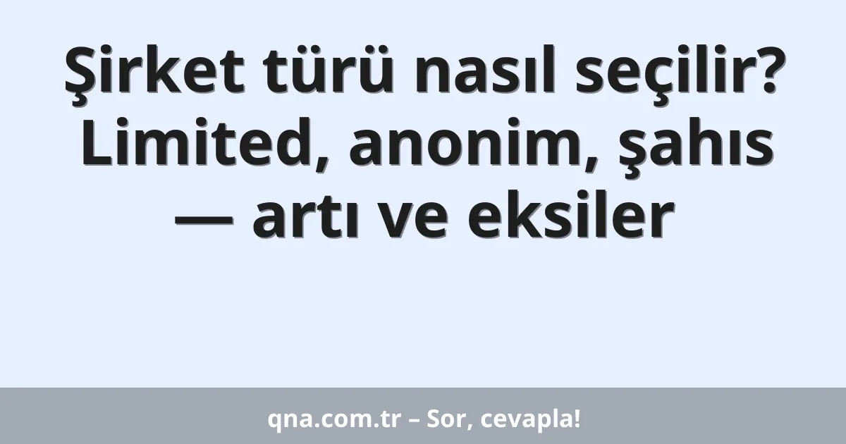 Şirket türü nasıl seçilir? Limited, anonim, şahıs — artı ve eksiler
