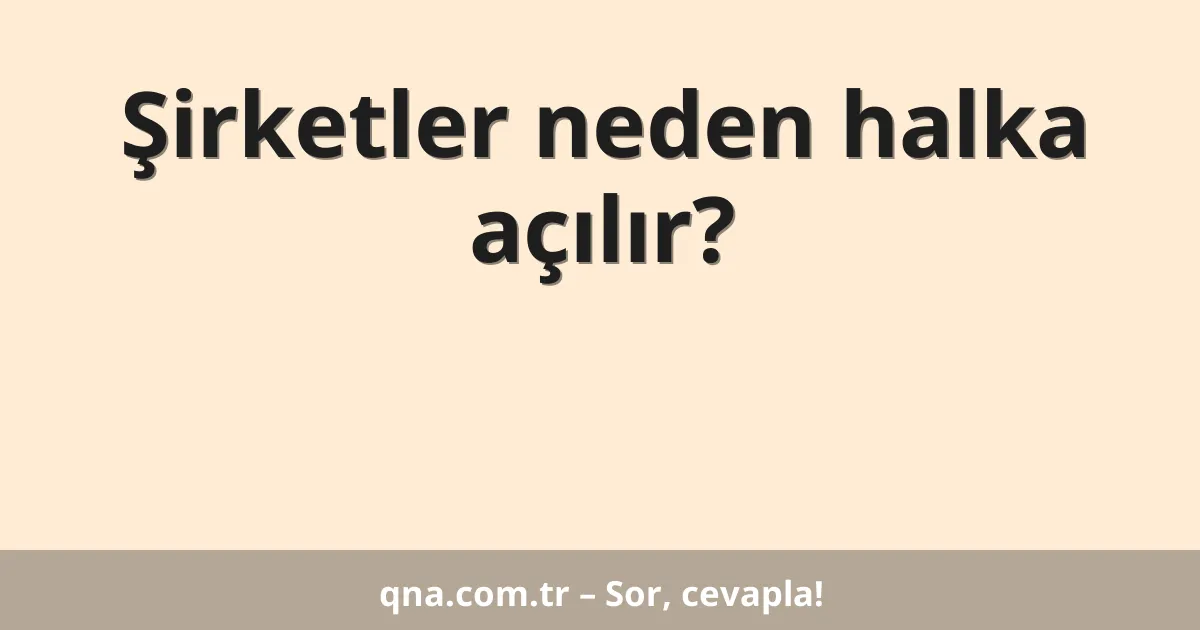 Şirketler neden halka açılır?