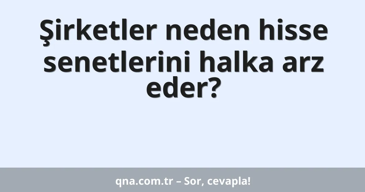 Şirketler neden hisse senetlerini halka arz eder?