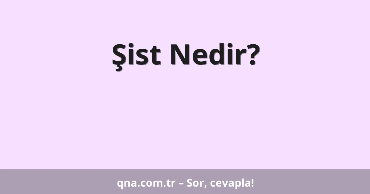 Şist Nedir?