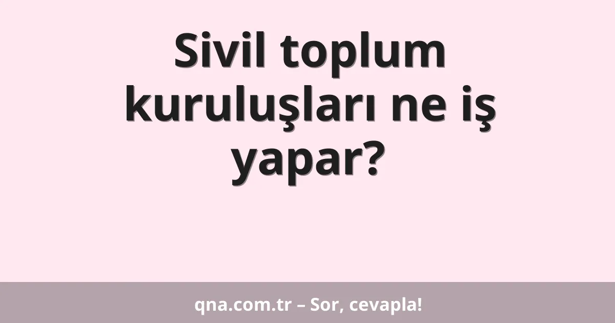 Sivil toplum kuruluşları ne iş yapar?