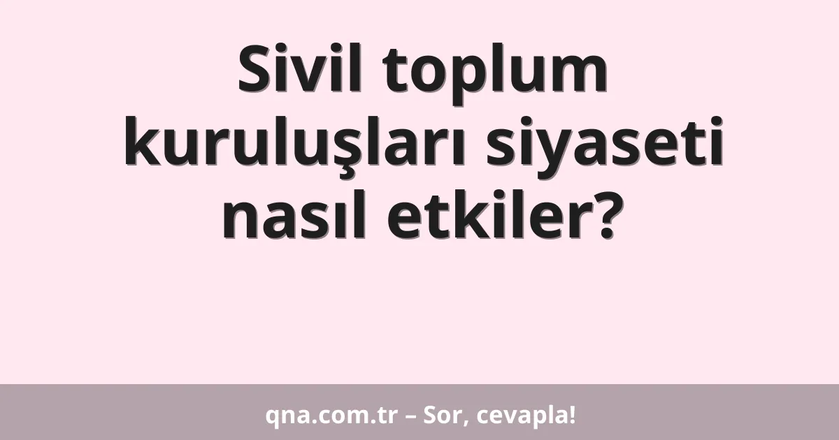 Sivil toplum kuruluşları siyaseti nasıl etkiler?