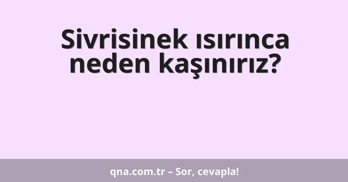Sivrisinek ısırınca neden kaşınırız?