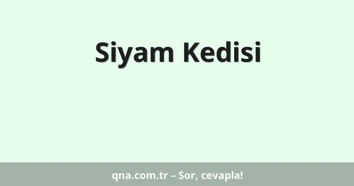 Siyam Kedisi