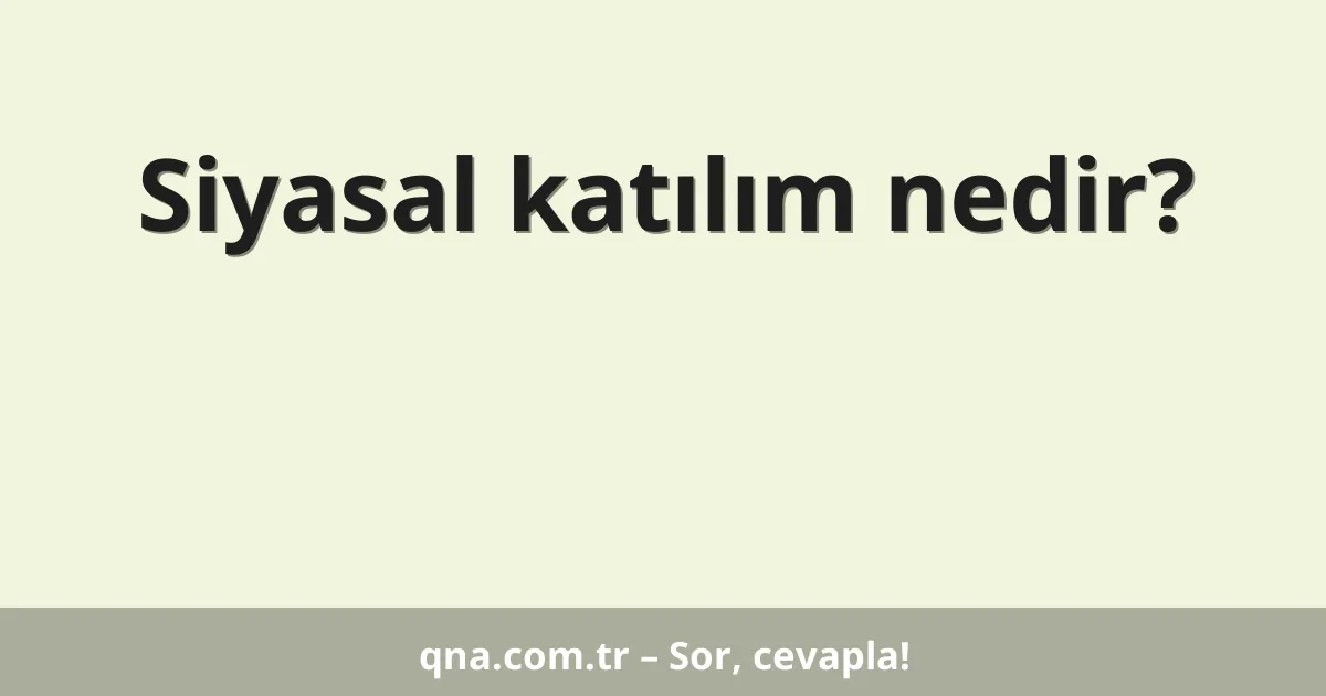 Siyasal katılım nedir?