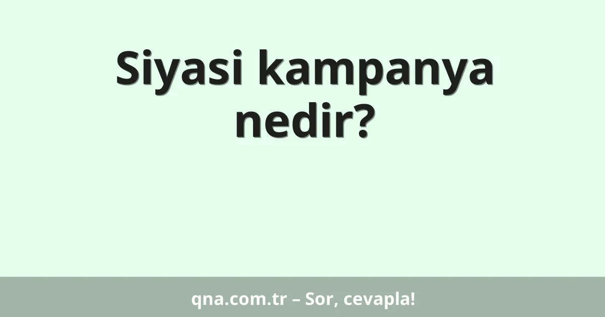 Siyasi kampanya nedir?