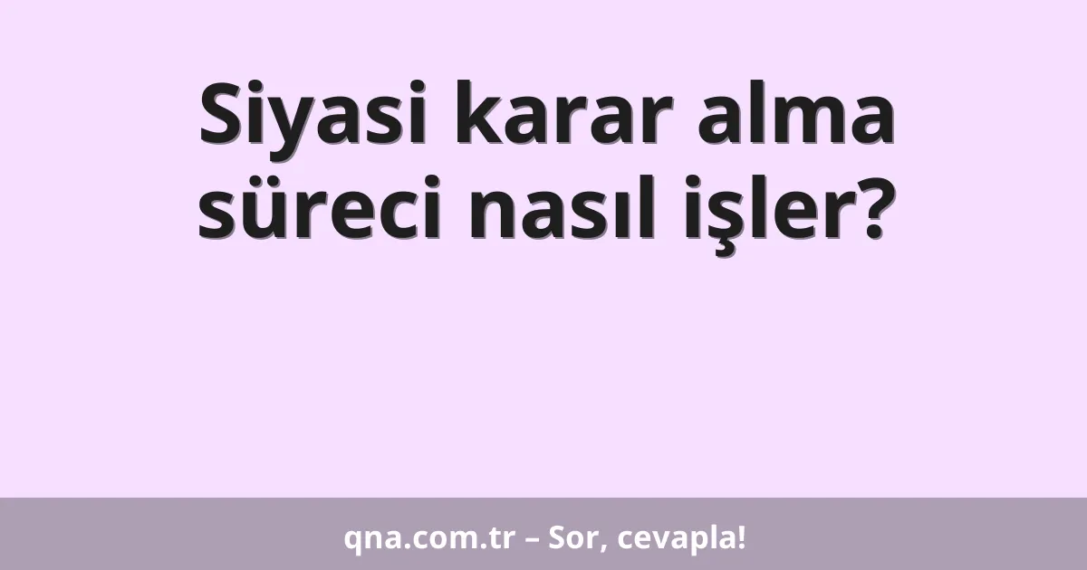 Siyasi karar alma süreci nasıl işler?