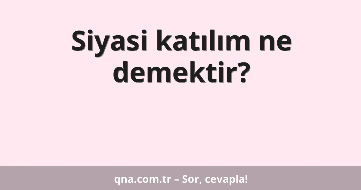 Siyasi katılım ne demektir?