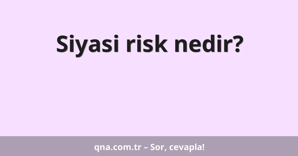 Siyasi risk nedir?