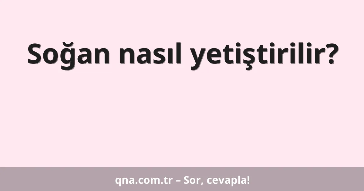 Soğan nasıl yetiştirilir?